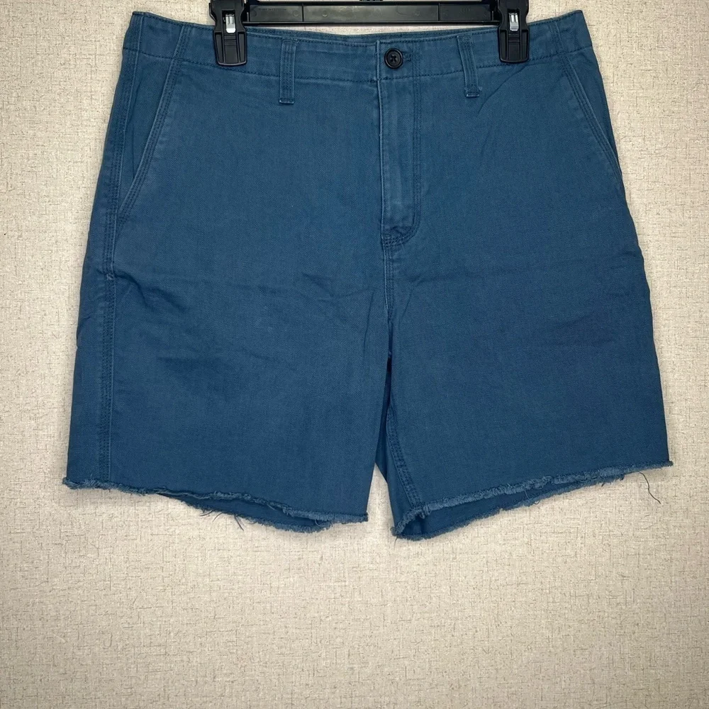 J.Crew Men's Blue Casual Shorts